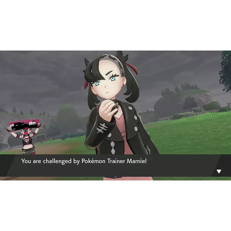 Nintendo Pokemon Sword standartinis leidimas Nintendo Switch