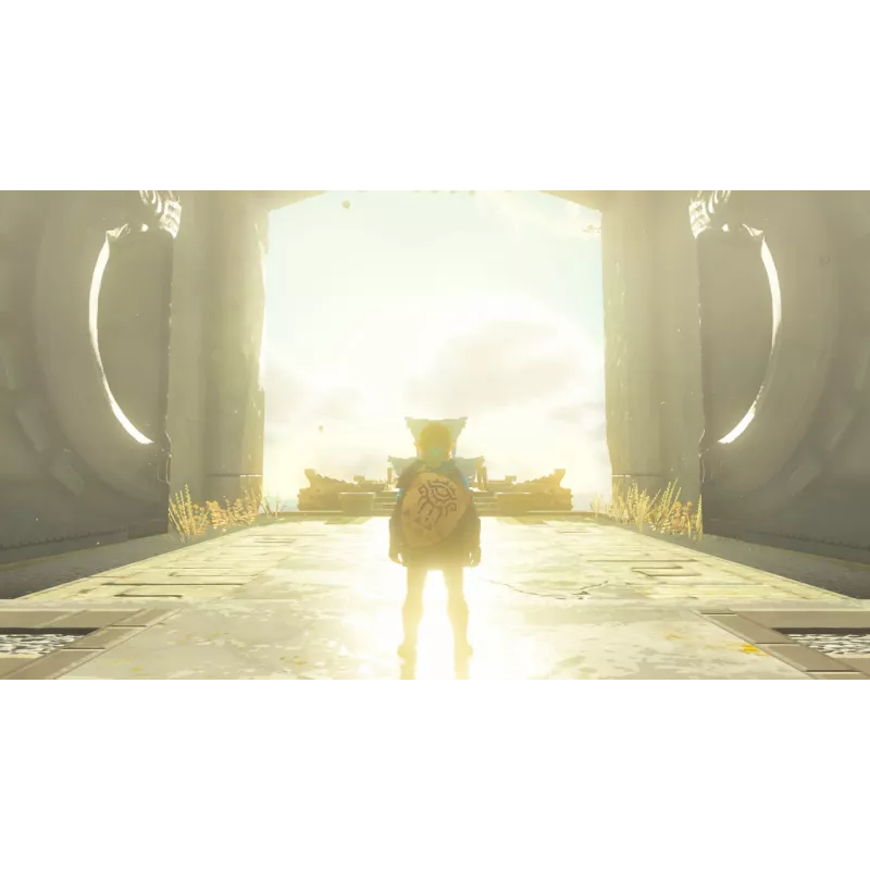 Nintendo The Legend of Zelda: Tears of the Kingdom Standartinis leidimas Nintendo Switch