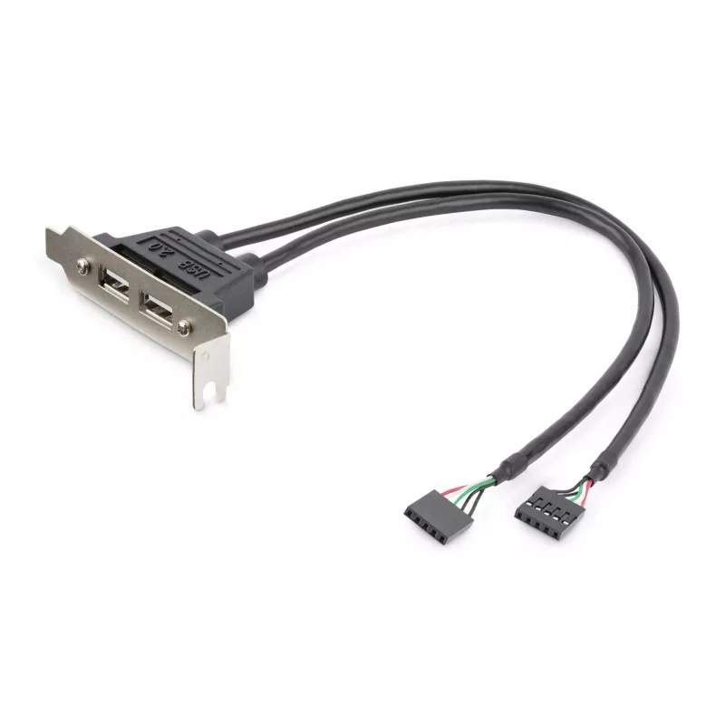 StarTech.com 2 prievadų USB A moteriškas žemo profilio lizdo plokštės adapteris