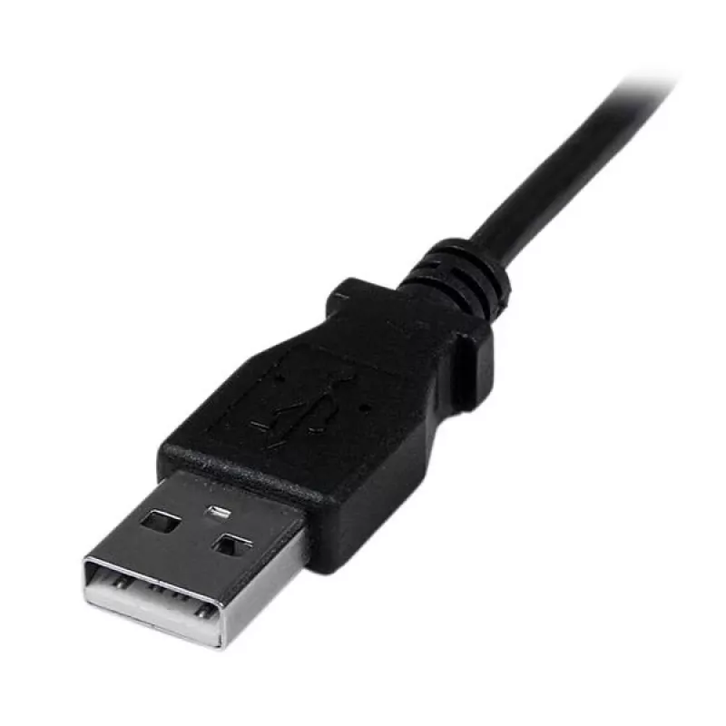 StarTech.com 2 m Mini USB laidas – A į nukreiptą žemyn Mini B