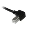StarTech.com 2 m USB 2.0 A į kairėn lenktą B laidas - vyriškas/vyriškas