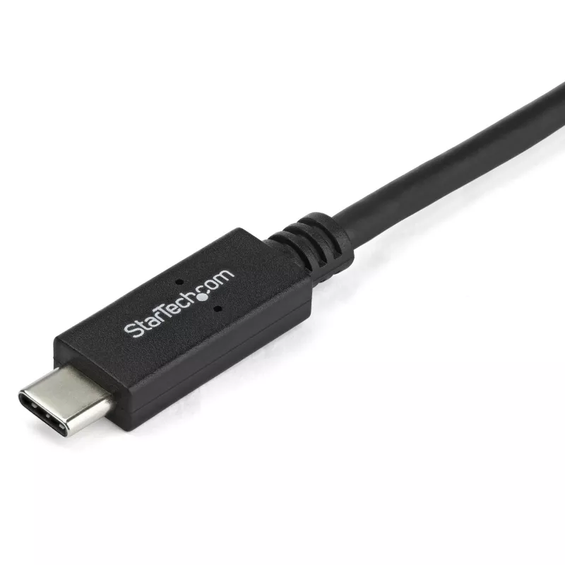 StarTech.com 6,6 pėdų (2m) USB-C į DVI laidas - 1920 x 1200 - Juodas