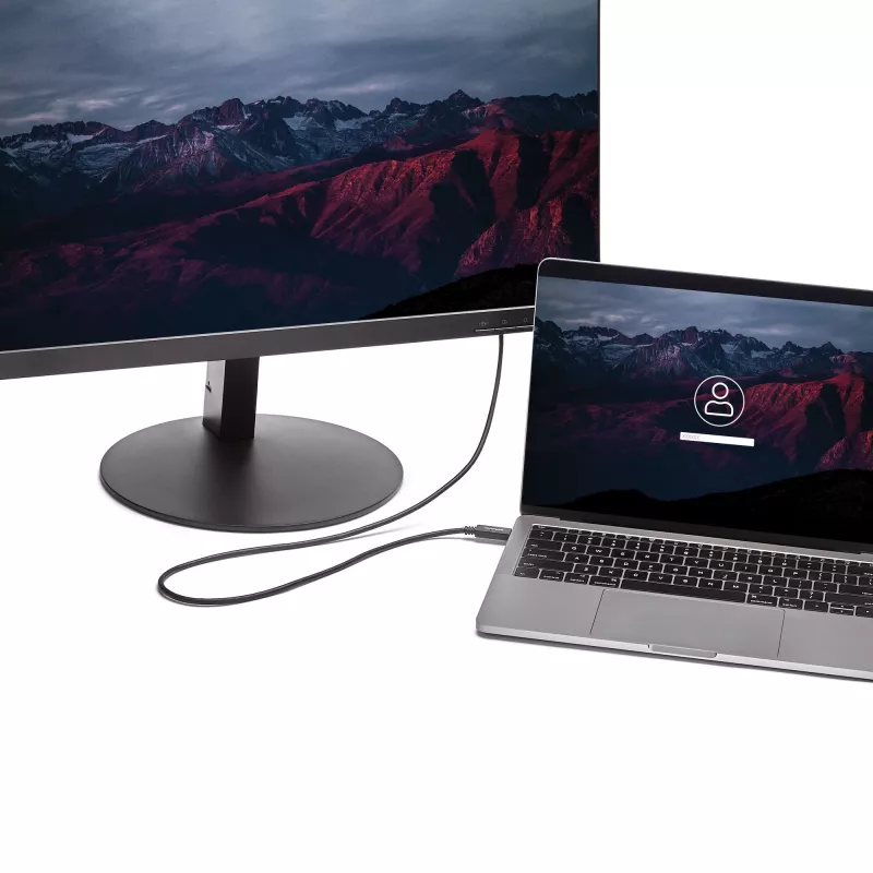 StarTech.com 6,6 pėdų (2m) USB-C į DVI laidas - 1920 x 1200 - Juodas