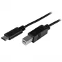 StarTech.com USB-C į USB-B laidas - Kištukas/Kištukas - 2 m (6 pėdos) - USB 2.0