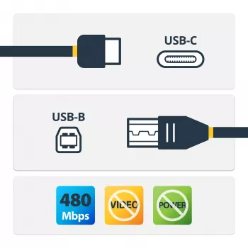 StarTech.com USB-C į USB-B laidas - Kištukas/Kištukas - 2 m (6 pėdos) - USB 2.0