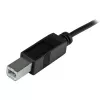 StarTech.com USB-C į USB-B laidas - Kištukas/Kištukas - 2 m (6 pėdos) - USB 2.0