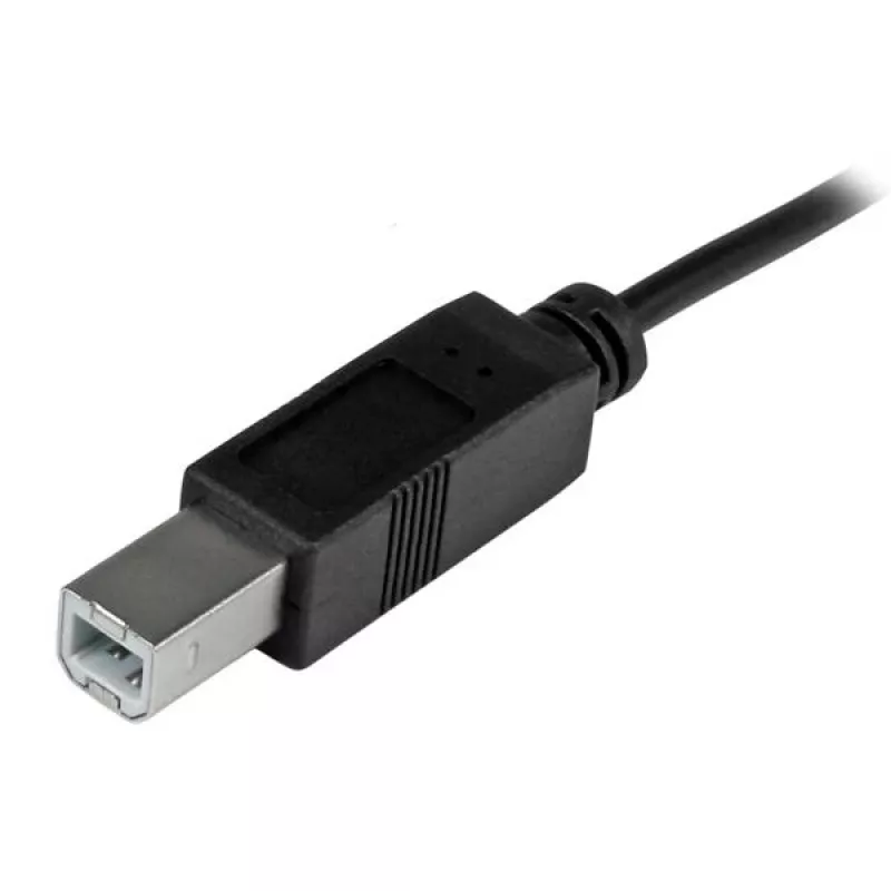StarTech.com USB-C į USB-B laidas - Kištukas/Kištukas - 2 m (6 pėdos) - USB 2.0