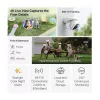TP-Link Tapo TC46 IP stebėjimo kamera 4K, sferinė, vidaus ir lauko, lubų/sienos/stulpo montavimui