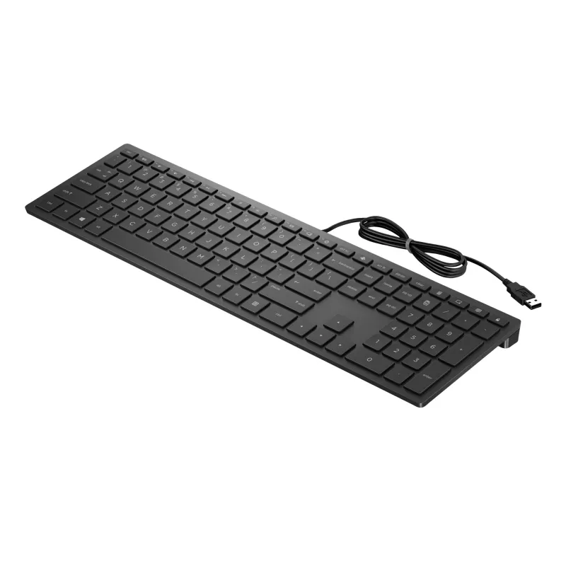 HP Pavilion Wired Keyboard 300, pilno dydžio (100%), laidinis, USB, mechaninė, juoda