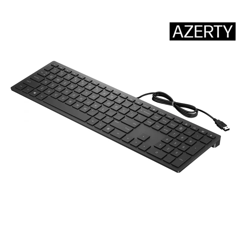 HP Pavilion Wired Keyboard 300, pilno dydžio (100%), laidinis, USB, mechaninė, juoda