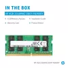 HP 286H5AA atminties modulis 4 GB 1 x 4 GB DDR4 260-pin SO-DIMM