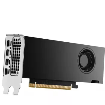 HP NVIDIA RTX 2000 Ada 16 GB GDDR6 vaizdo plokštė, 4x Mini DisplayPort (8D6B8AA)