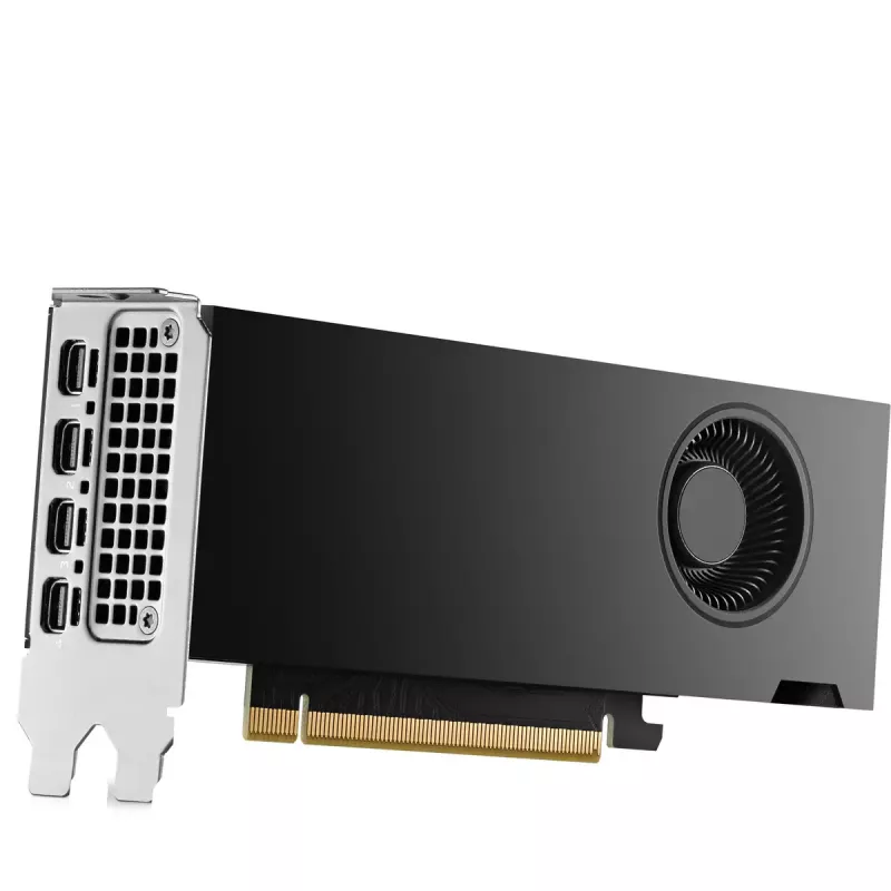 HP NVIDIA RTX 2000 Ada 16 GB GDDR6 vaizdo plokštė, 4x Mini DisplayPort (8D6B8AA)