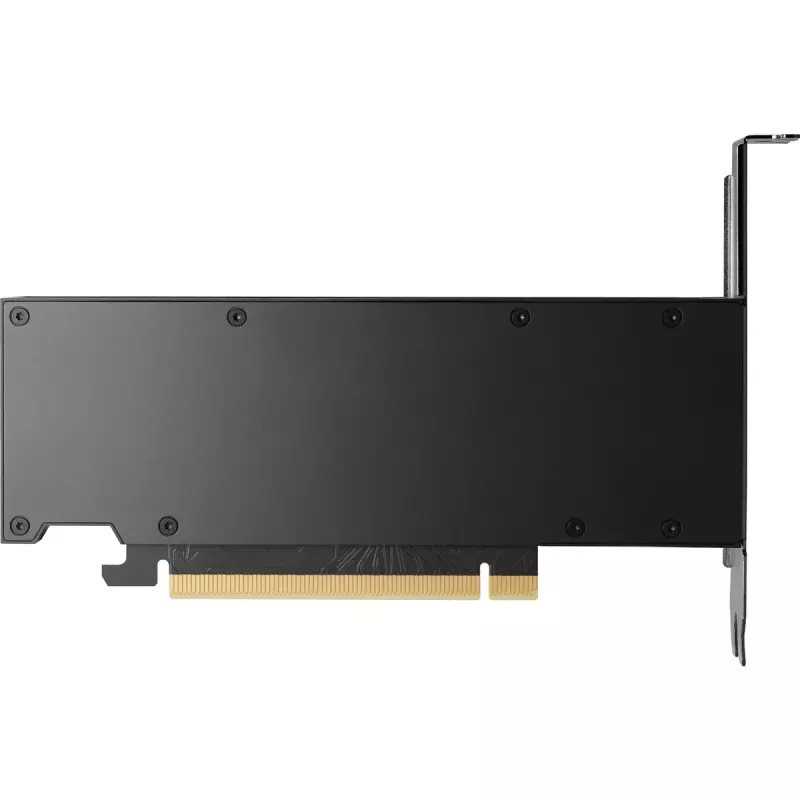HP NVIDIA RTX 2000 Ada 16 GB GDDR6 vaizdo plokštė, 4x Mini DisplayPort (8D6B8AA)