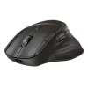Laidinė optinė pelė HP B8YX3AA
