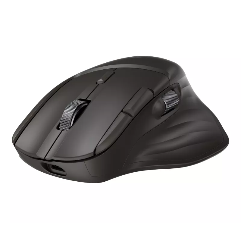 Laidinė optinė pelė HP B8YX3AA