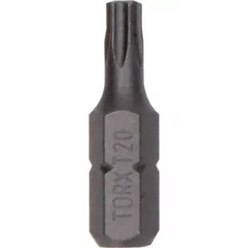 Bosch antgalis atsuktuvui Extra Hard T20 25 mm (25 vnt.)