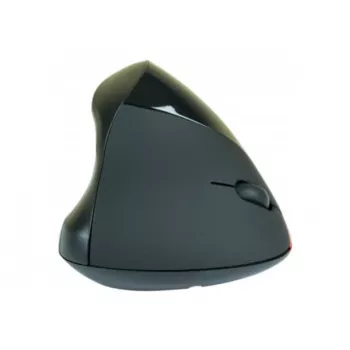 Hypertec 225125-HY pelė Office Dešinei rankai RF belaidė Optinė 1600 DPI