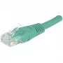 Hypertec 244710-HY tinklo kabelis žalias 1 m Cat6 U/UTP (UTP)