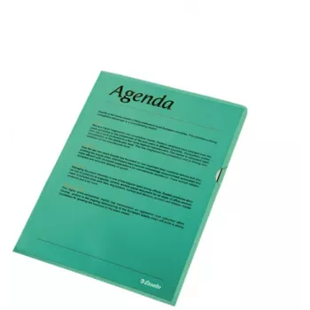 Esselte aplankas 105my A4 dėžutė po 100 vnt., A4, polipropilenas (PP), žalias, stačias, 220 mm, 1 mm