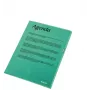 Esselte aplankas 105my A4 dėžutė po 100 vnt., A4, polipropilenas (PP), žalias, stačias, 220 mm, 1 mm