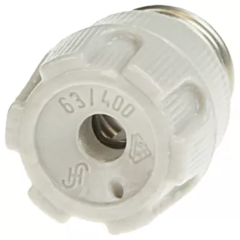 Siemens 5SH4363 NEOZED sraigtinis gaubtas Porcelianas D02, 63A