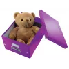 Leitz Click & Store WOW vidutinė laikymo dėžė, violetinė, 16,7 L