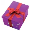 Leitz Click & Store WOW vidutinė laikymo dėžė, violetinė, 16,7 L