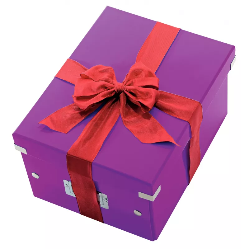 Leitz Click & Store WOW vidutinė laikymo dėžė, violetinė, 16,7 L