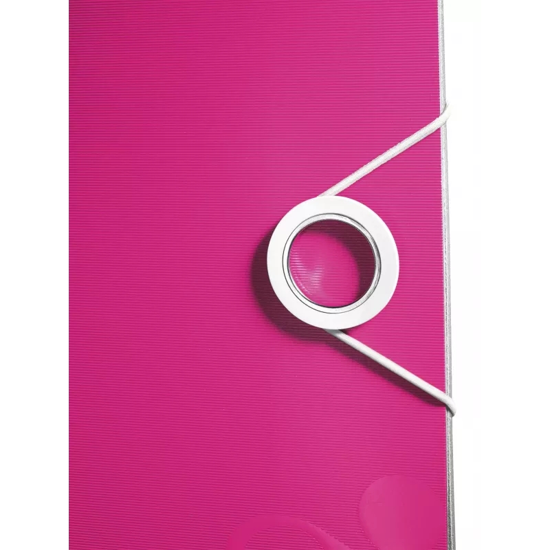 Leitz Lever Arch File Active PP WOW A4/80mm rožinė