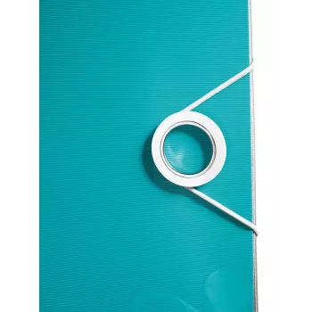 Leitz Lever Arch File Active PP WOW A4/80mm, A4, poliuretanas, turkio spalva, 500 lapų, 80 g/m², 8,2 cm