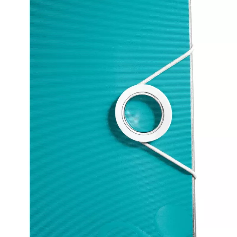 Leitz Lever Arch File Active PP WOW A4/65mm, A4, polipropilenas, mėlyna, 350 lapų, 80 g/m², 6,5 cm