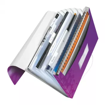 Leitz Project File WOW PP aplankalas, A4, polipropilenas (PP), violetinė, 200 lapų, 254 mm, 38 mm