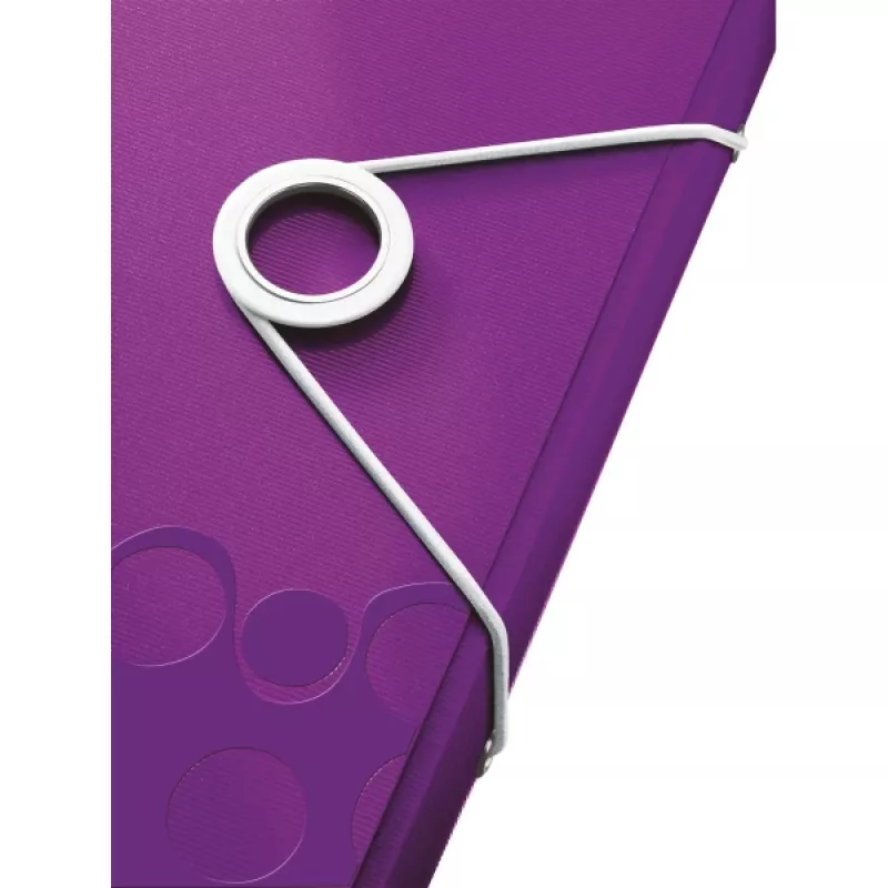 Leitz Project File WOW PP aplankalas, A4, polipropilenas (PP), violetinė, 200 lapų, 254 mm, 38 mm