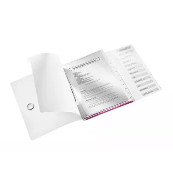 Segtuvas Leitz Divider Book WOW PP 12 skirtukų, A4, polipropilenas, metalinis, rožinis, 200 lapų, 265 mm, 17 mm