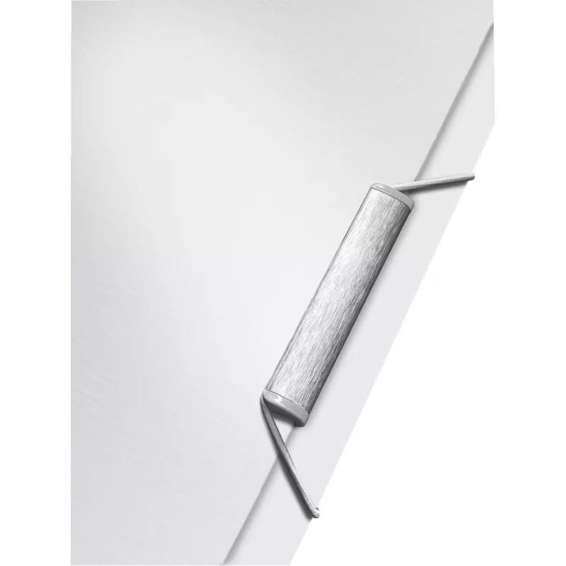 Leitz A4 aplankas su 3 atvartais Style PP, baltas