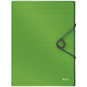Leitz Box File Solid PP 30 mm, A4, žalias