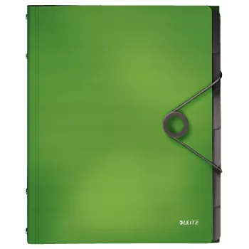 Leitz Divider Book Solid 6 skirtukų, A4, polipropilenas (PP), žalia