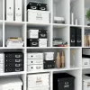 Leitz Click & Store WOW didelė laikymo dėžė, žalia, kartonas, 369 mm, 482 mm, 200 mm