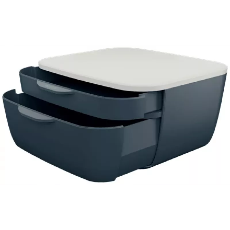 Leitz Cosy spintelė su stalčiais, 2 stalčiai, polistirenas (PS), juoda, balta, 1 vnt., 251 mm, 143 mm