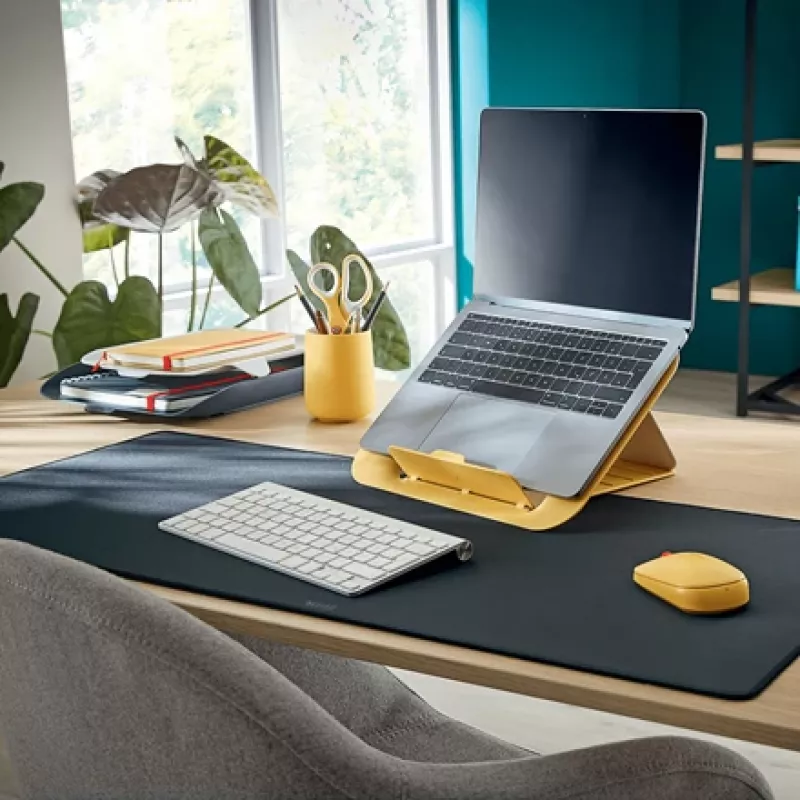 Leitz Cosy belaidė pelė, ambidekstrinė, RF belaidis + Bluetooth, 4000 DPI, pilka