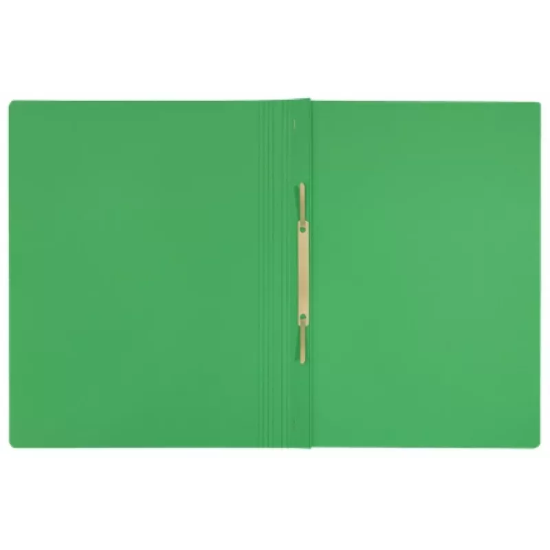 Leitz Recycle Card Flat File – A4 aplankalas iš kartono, žalias, 250 lapų