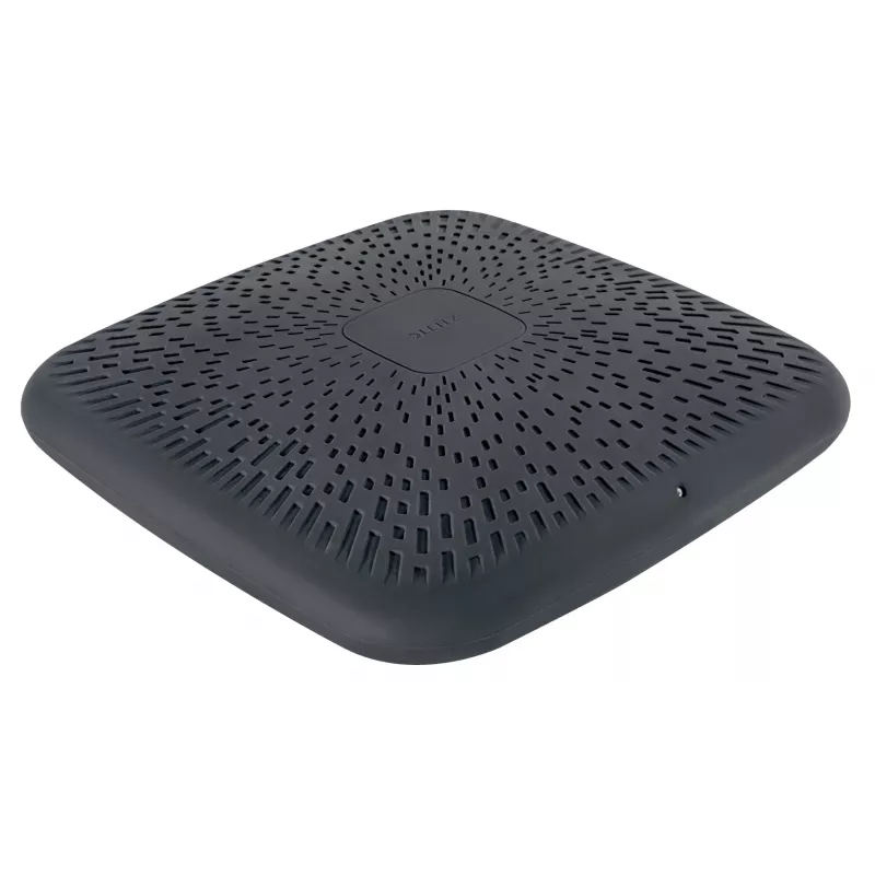 Leitz Ergo Active Wobble pagalvėlė, balansinė pagalvė, pilka, 360 mm, 55 mm, 1,24 kg