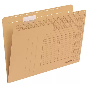 Kabantis segtuvas Leitz 24350000 A4 ruda spalva, kartonas/plastikas