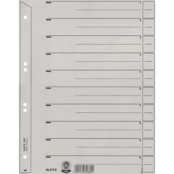 Leitz 60970085 skyriklis kartoninis pilkas 1 vnt.