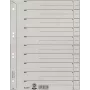 Leitz 60970085 skyriklis kartoninis pilkas 1 vnt.