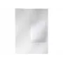 Leitz Folder CombiFile Organiser A4 segtuvas su kišenėmis