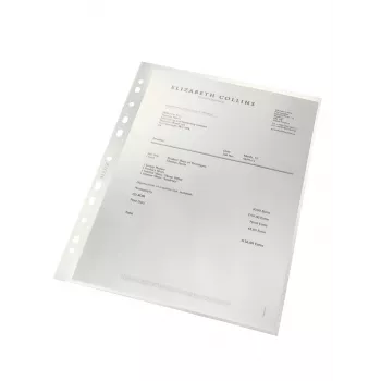 Leitz Recycle A4 Kišenė, 210 x 297 mm (A4), Skaidri, Polipropilenas (PP), Vertikali, 80 g/m², 0,1 mm
