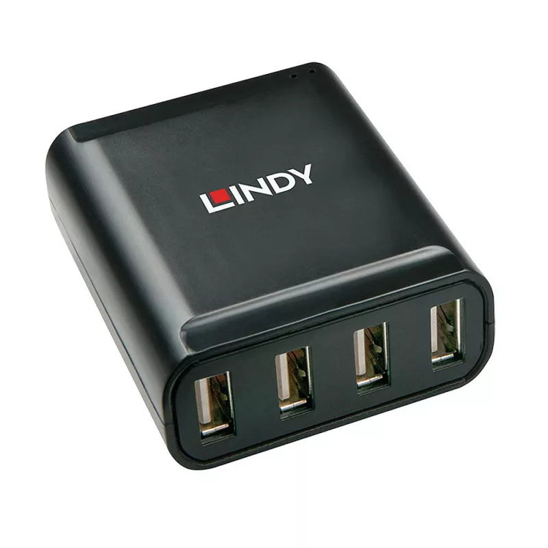 Lindy 60m 4 prievadų USB 2.0 Cat.6 prailgintuvas