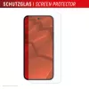 Displex apsauginis stiklas Google Pixel 10 Pro XL su dėklu, Eco montavimo rėmelis, atsparus įbrėžimams